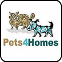 Pets for Adoption in the UK