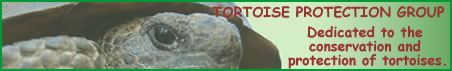 http://www.tortoise-protection-group.org.uk